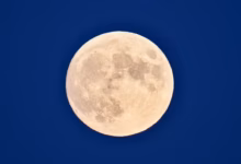 Volle Maan