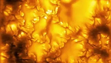 Main Inouye Image (horizontal)