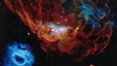 Nasaastro